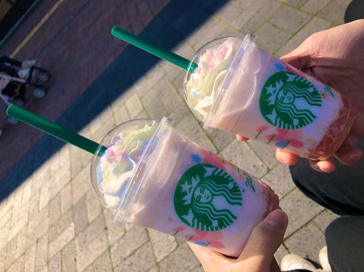 桜の季節に君に恋した。