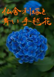仏舎利塔と青い手毬花