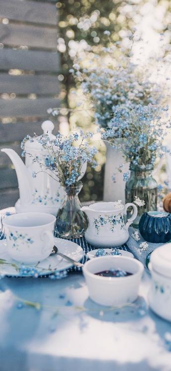 人狼様に嫁ぎます〜シンデレラ・ウェディング〜