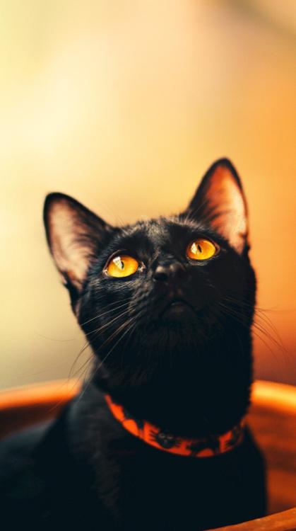 ＢadをＨappyに！？〜おとぎ話の世界に閉じ込められちゃった〜