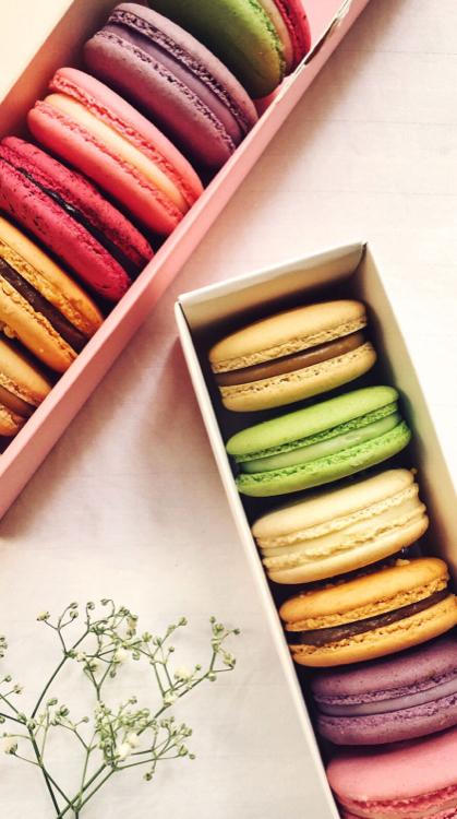 乙女の恋はいつも甘〜いアイツに振り回される