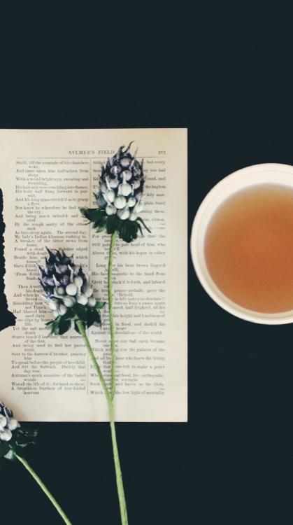 あの日の初恋を君に〜六人の主人公〜