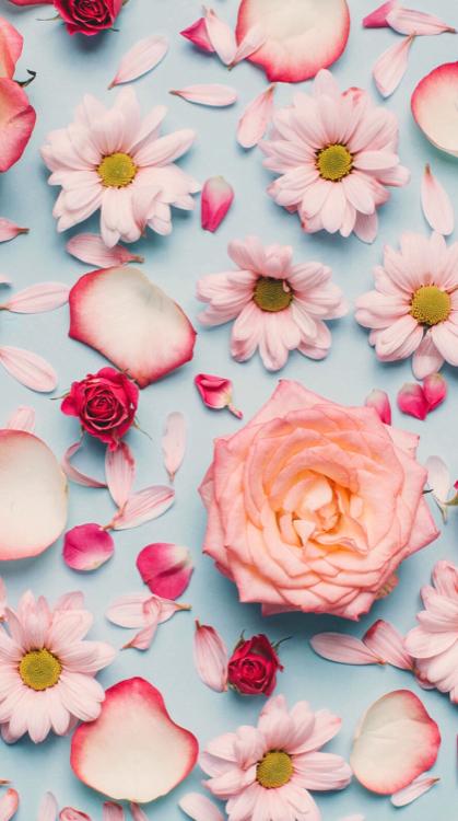 花言葉が人をつなぐ