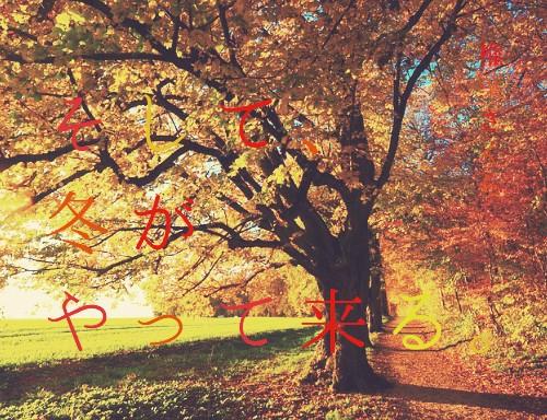 そして、冬がやって来る。