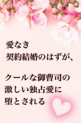 愛なき契約結婚のはずが、クールな御曹司の激しい独占愛に堕とされる