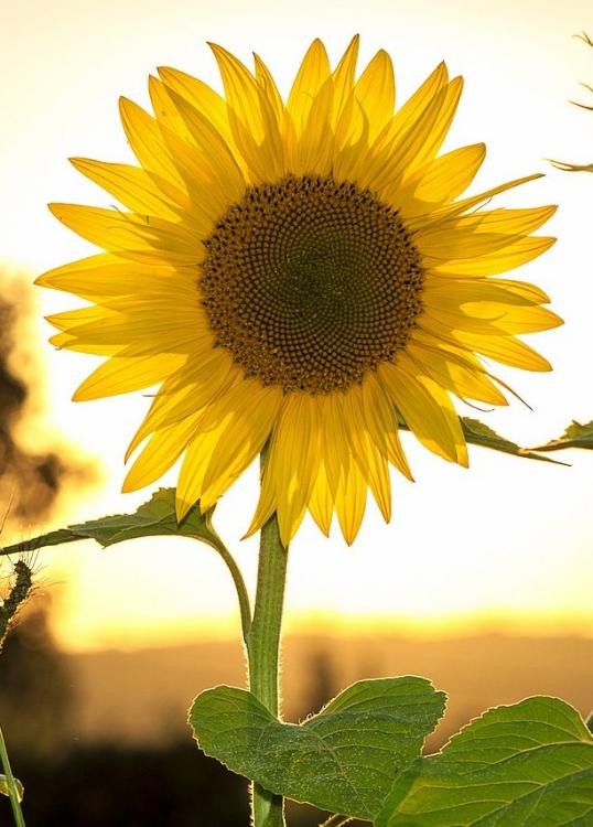 この度、晴れて母子家庭になりまして