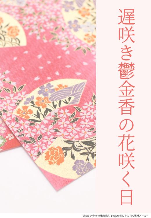 遅咲き鬱金香（チューリップ）の花咲く日