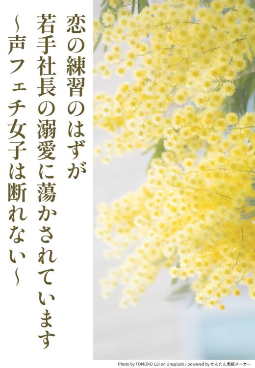 恋の練習のはずが、若手社長の溺愛に蕩かされています～声フェチ女子は断れない～