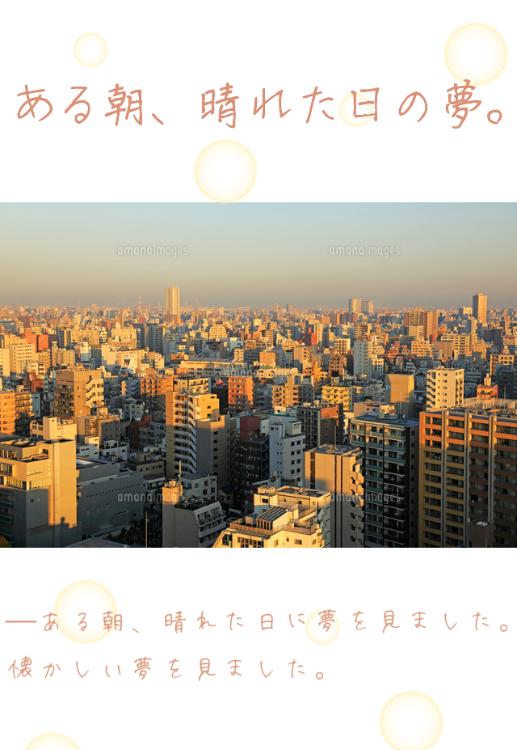 ある朝、晴れた日の夢。