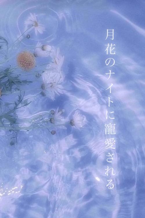 月花のナイトに寵愛される