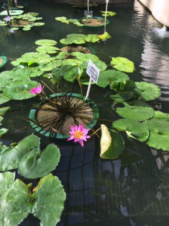 色付く世界の真ん中で