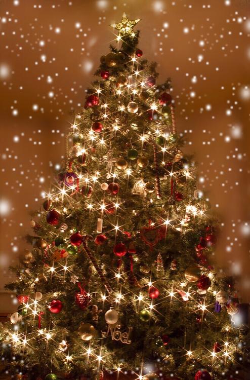 特別な日常〜Xmas限定短編集〜