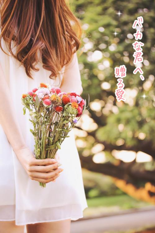 バカな君へ、贈る愛