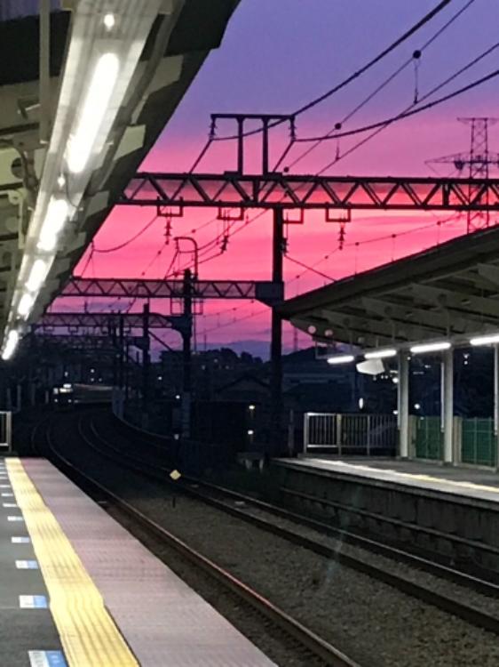 いばらの棘が溶ける夜