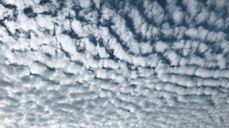 ただ、君をまってる