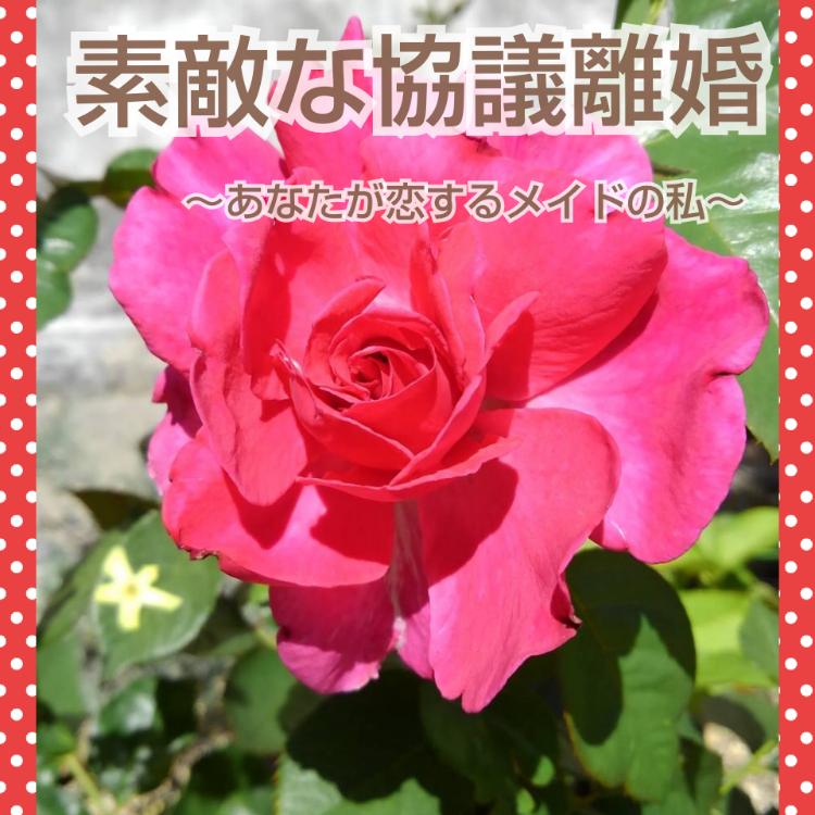 素敵な協議離婚～あなたが恋するメイドの私～