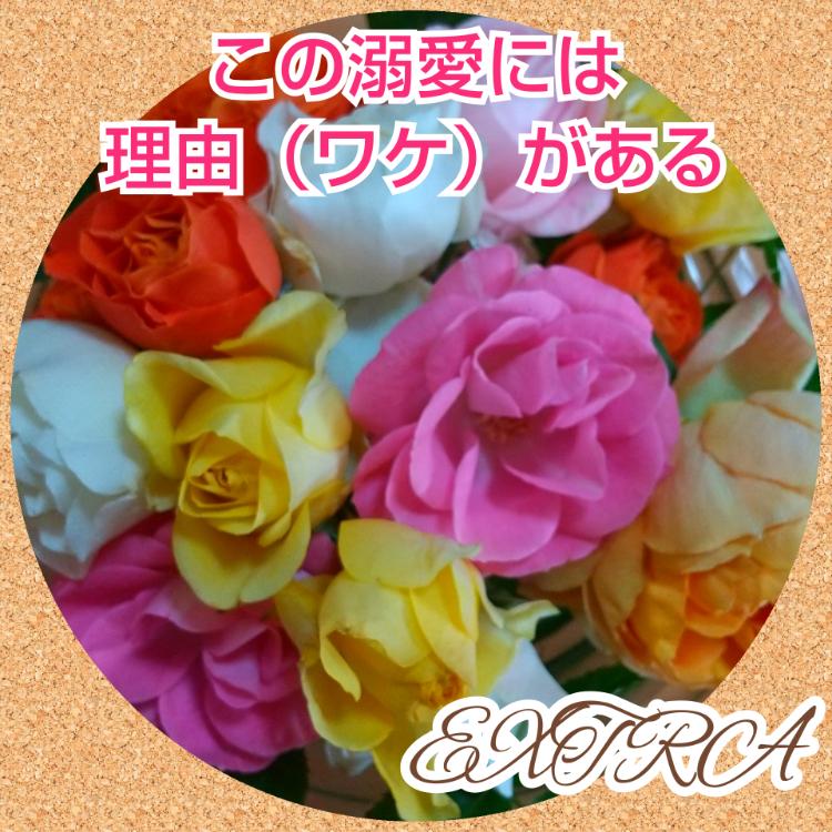 この溺愛にはワケがある！？ extra