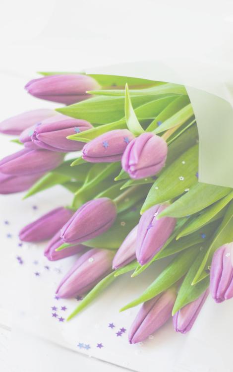 フェチらぶ〜再会した紳士な俺様社長にビジ婚を強いられたはずが、世界一幸せな愛され妻になりました〜