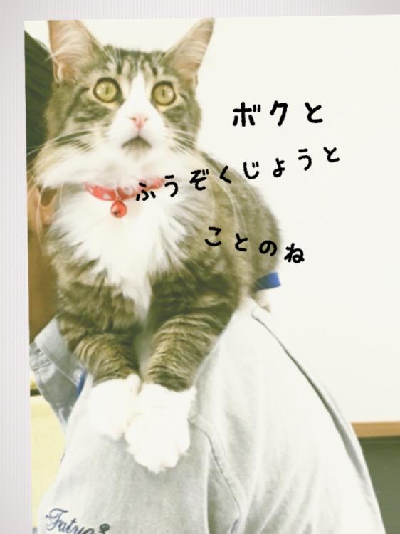 【完】ボクと風俗嬢と琴の音