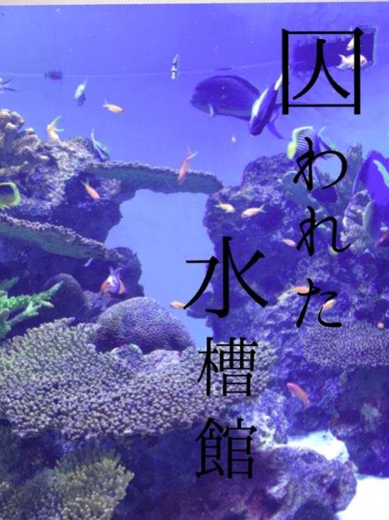 【完】囚われた水槽館～三人の御曹司からの甘美な誘愛～