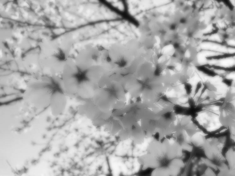 年下彼の攻略法