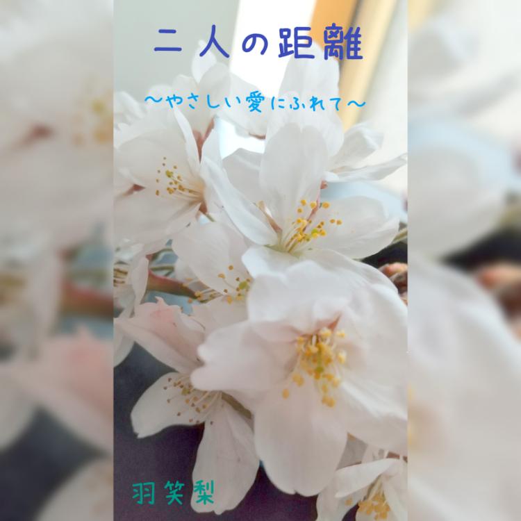 二人の距離～やさしい愛にふれて～