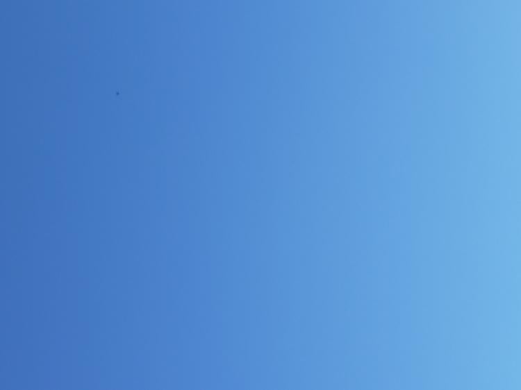 蒼い僕と碧い君～栞が繋いだ君との約束〜