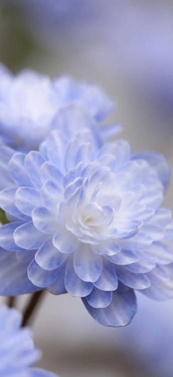 希望の光～たとえあなたが消えても愛し続ける～