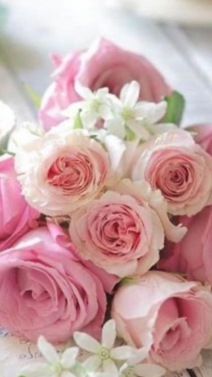 最高ランクの御曹司との甘い生活にすっかりハマってます