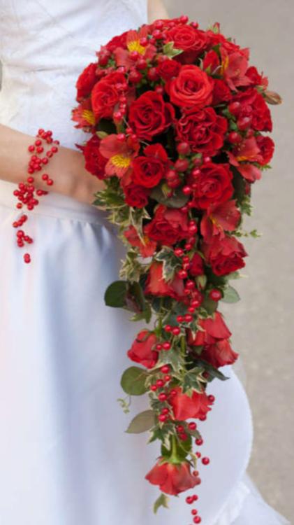 雪のように真っ白な心を情熱の赤に染めて~強引なイケメン過ぎる御曹司は甘くて熱い愛を注ぐ~