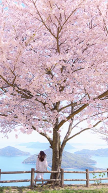 あなたと恋に落ちるまで~御曹司は、一途に私に恋をする~