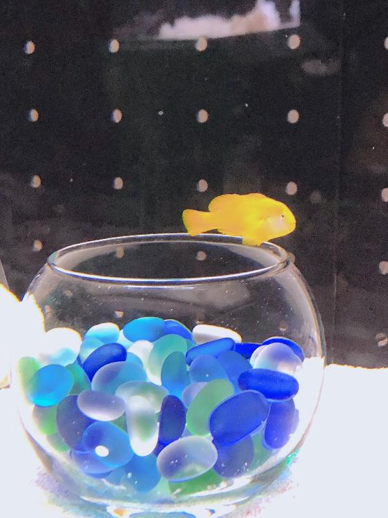 伝えられぬまま