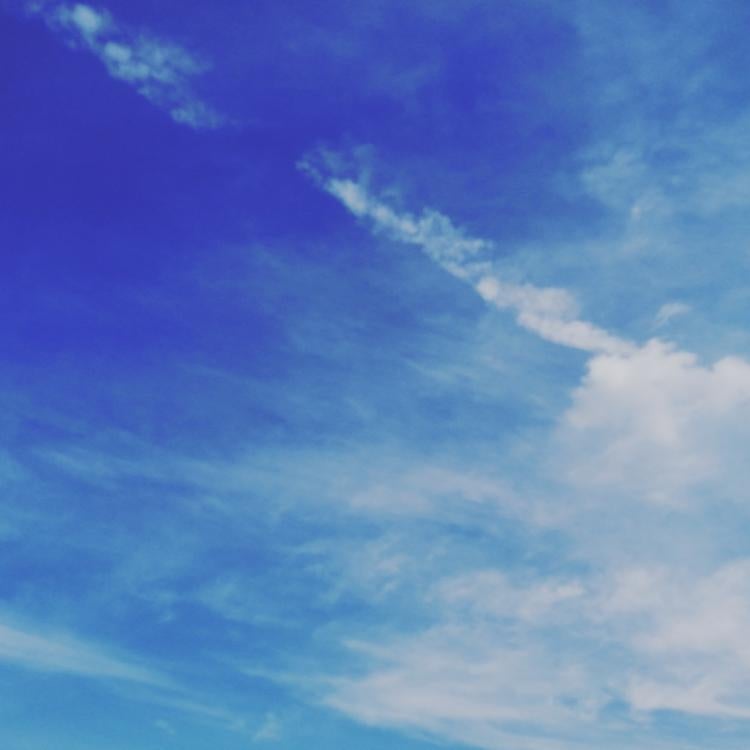 君は前しか見ない