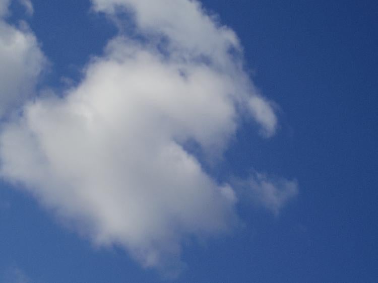 青春の花は素顔に咲く