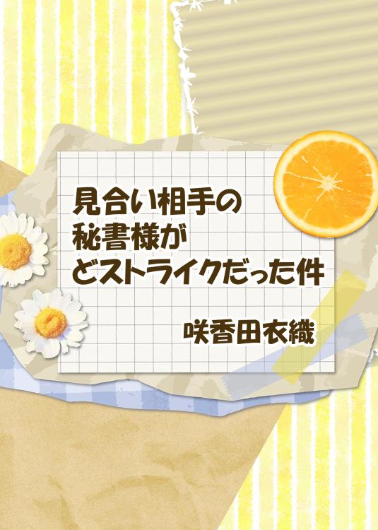 見合い相手の秘書様がどストライクだった件