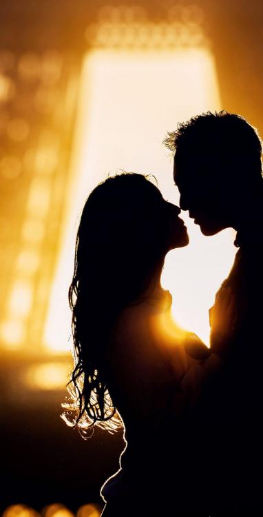 殺人容疑をかけられた悪役令嬢の真実。