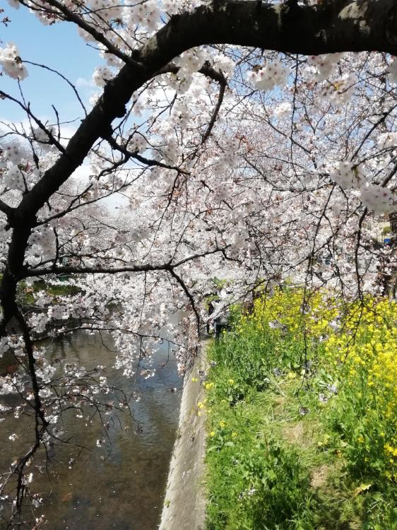 奇跡〜君と歩む道〜
