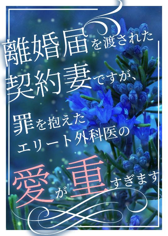 離婚届を渡された契約妻ですが、罪を抱えたエリート外科医の愛が重すぎます