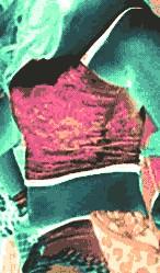 続わが子に恋した元ギャルママ