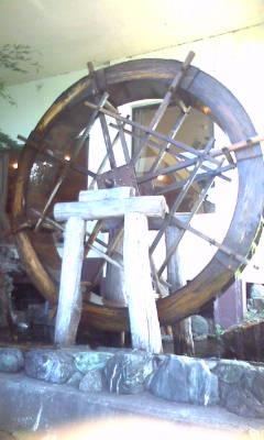 【女の事件】豚小屋