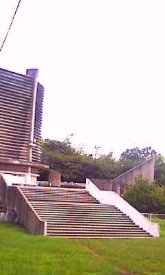 【女の事件】白紙委任