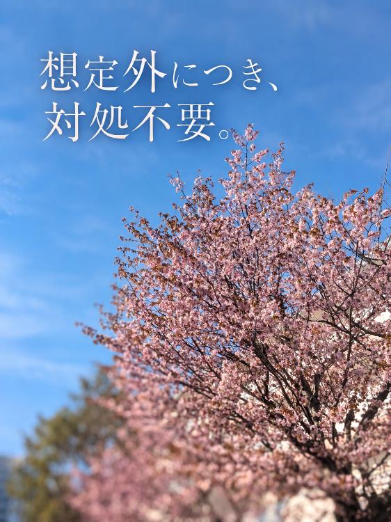 想定外につき、対処不要
