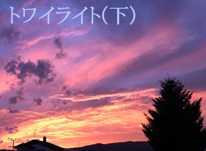 トワイライト(下)