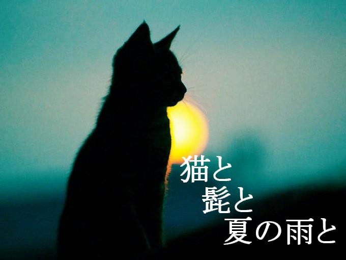猫と髭と夏の雨と