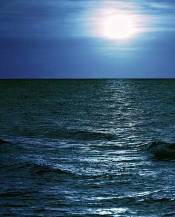 眠れない私に、君の歌は優しすぎて、