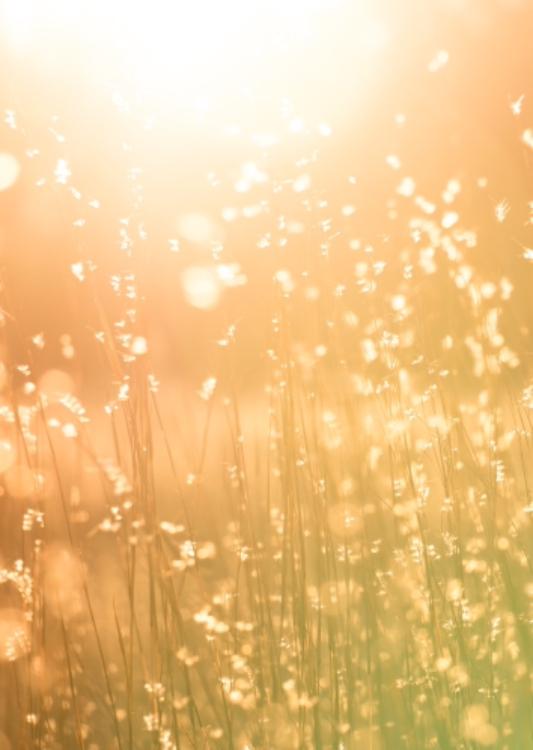 太陽に抱かれて