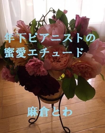 年下ピアニストの蜜愛エチュード