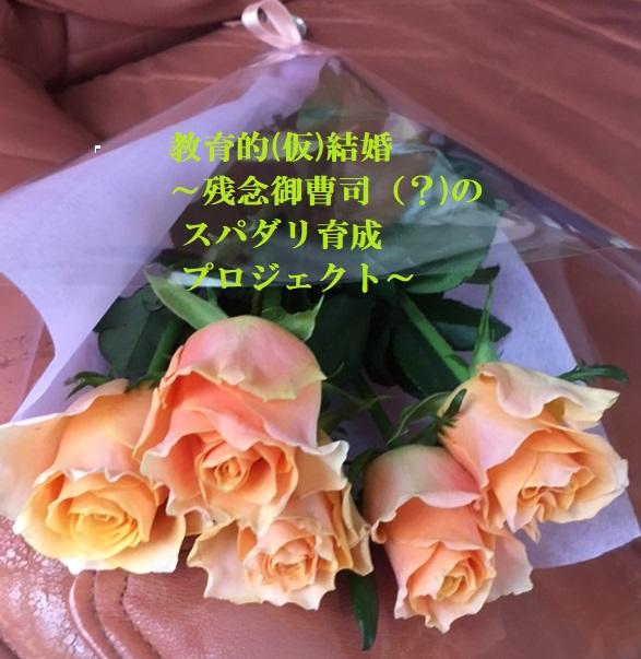 教育的(仮)結婚～残念御曹司（？）のスパダリ育成プロジェクト～