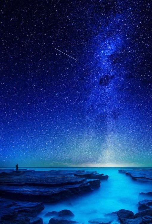 私の好きな人は、兄でした。