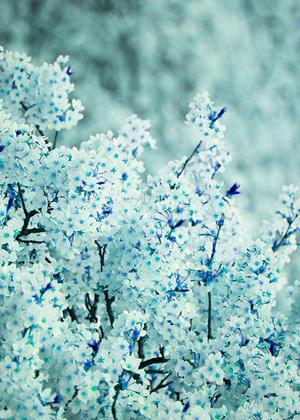 PJ（パパ活女子）や円交嬢、2万～3万人を観て